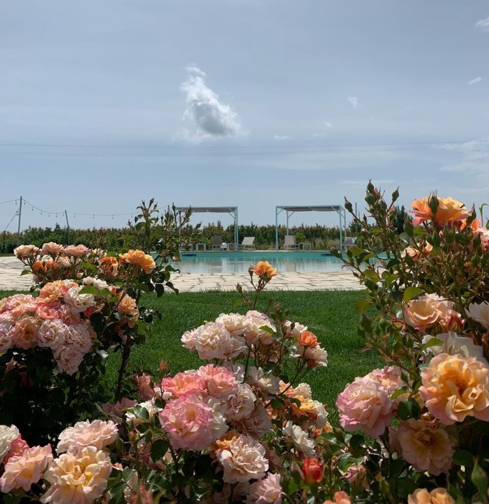 Alta Area Apart otel Nova Siri Dış mekan fotoğraf