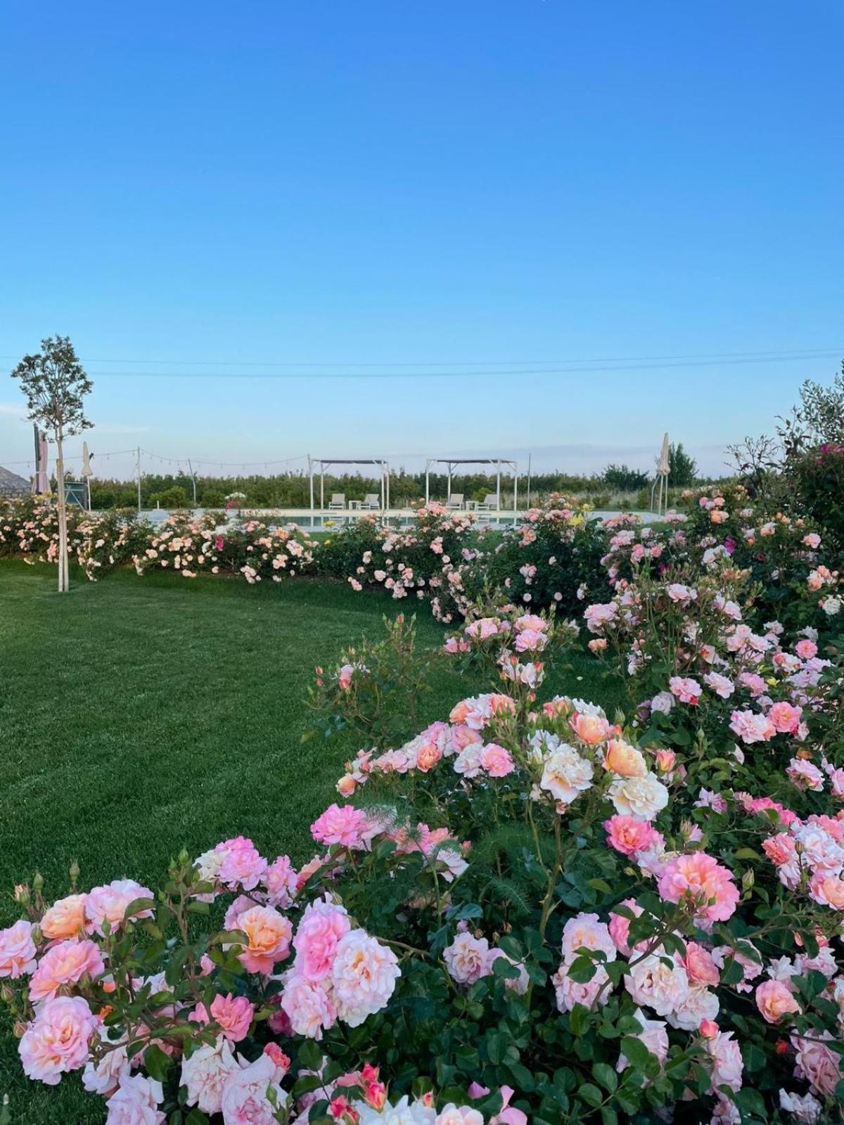 Alta Area Apart otel Nova Siri Dış mekan fotoğraf